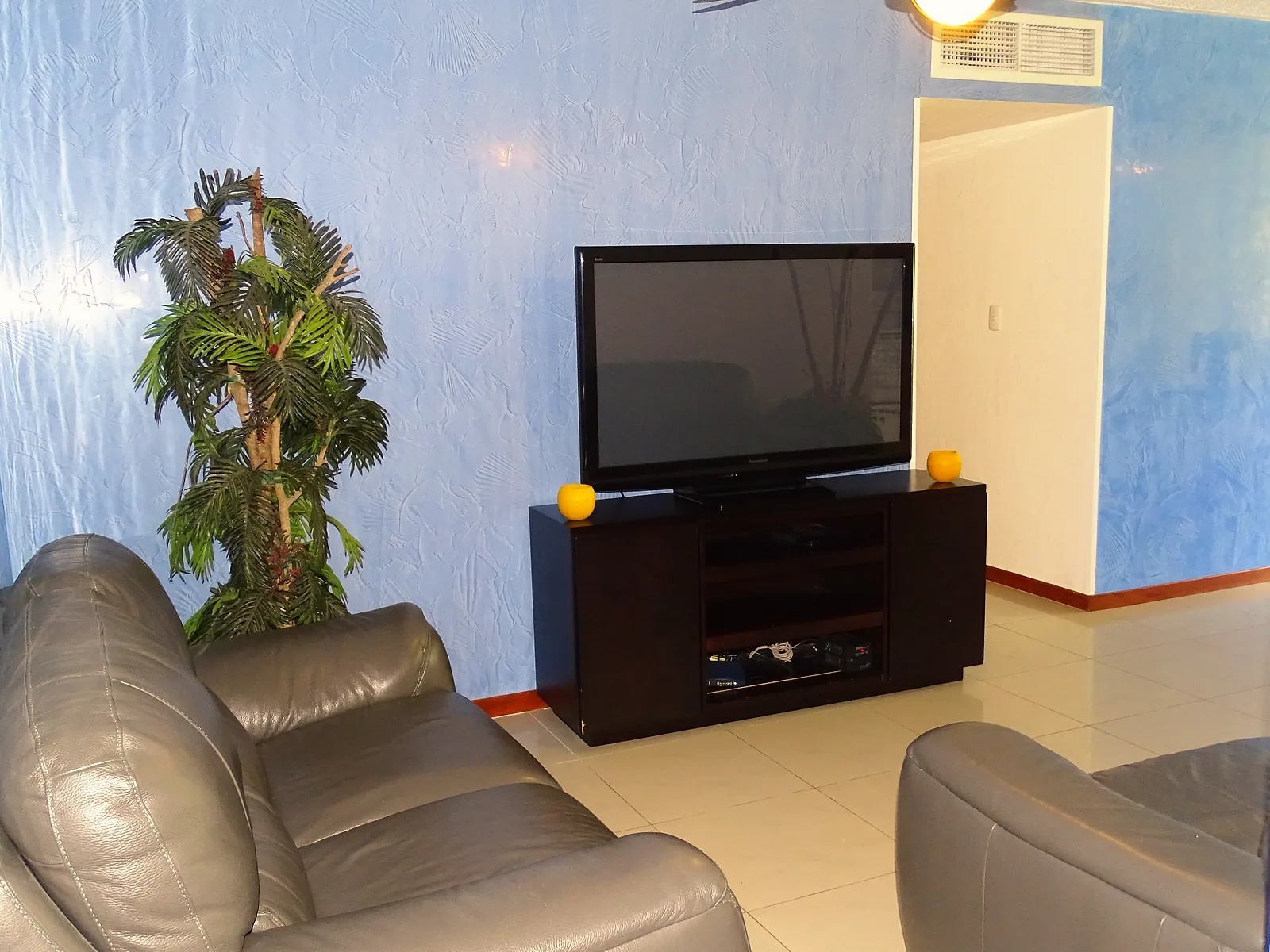 Living room with a leather sofa and a flat-screen TV